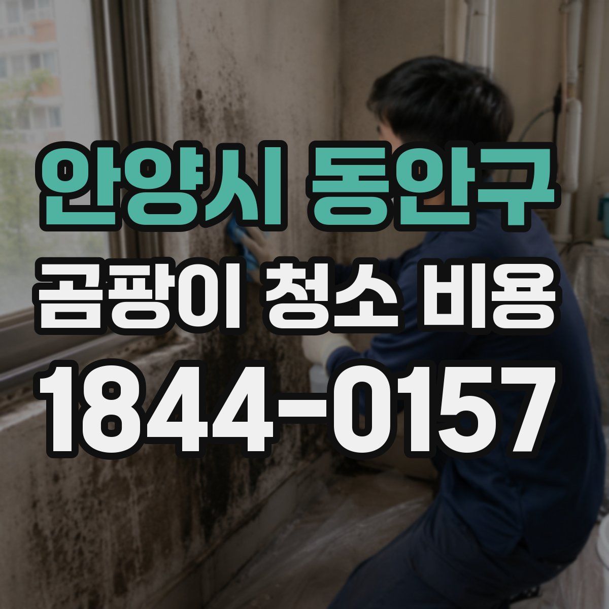 안양시 동안구 곰팡이 청소 비용