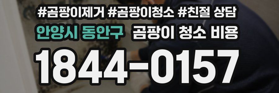 안양시 동안구 곰팡이 청소 비용