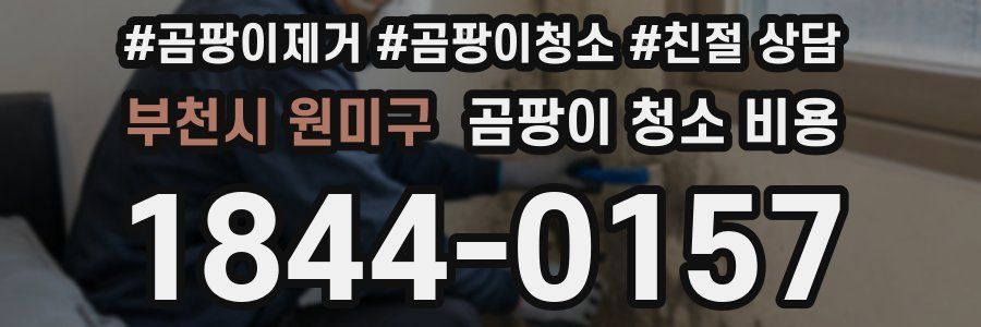 부천시 원미구 곰팡이 청소 비용