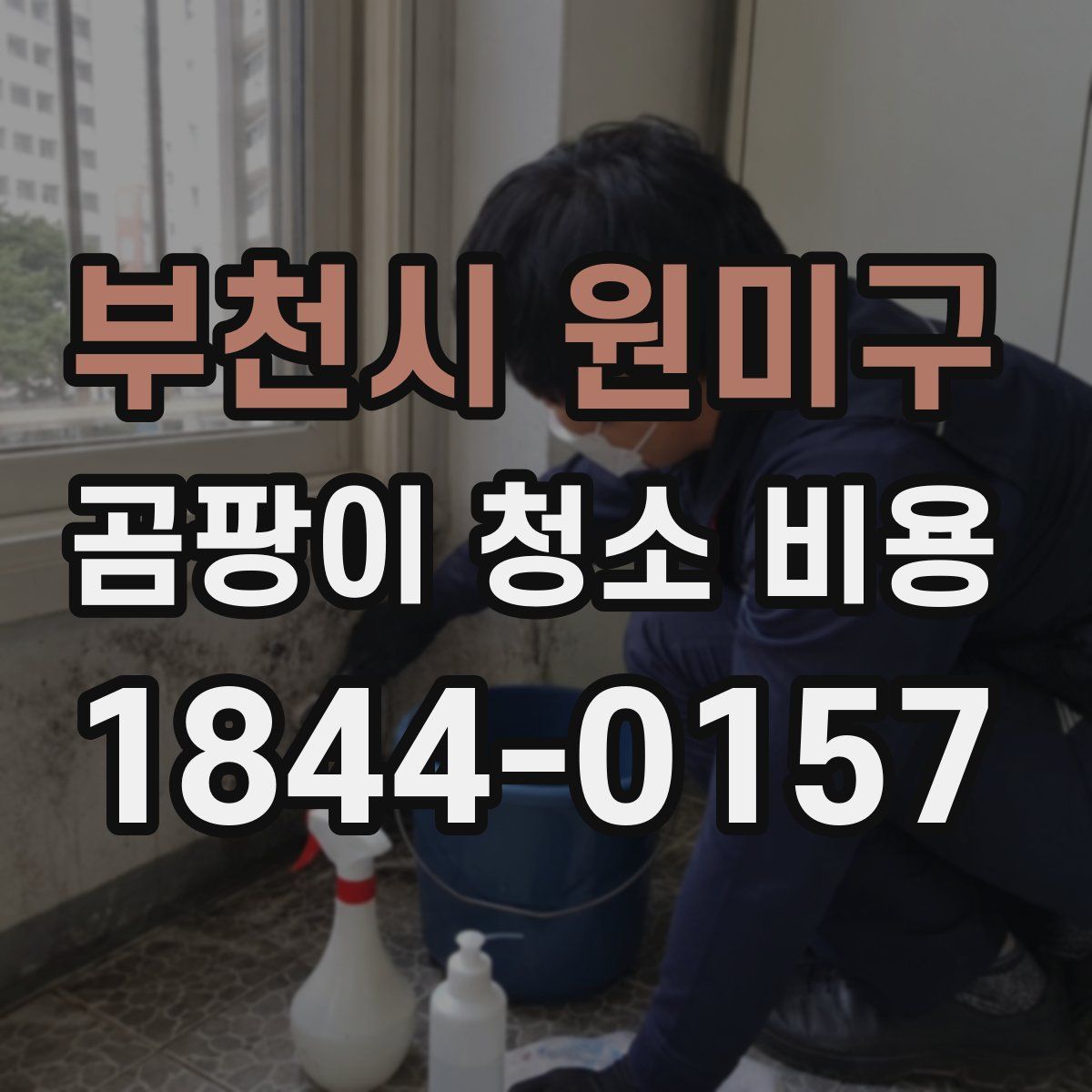 부천시 원미구 곰팡이 청소 비용