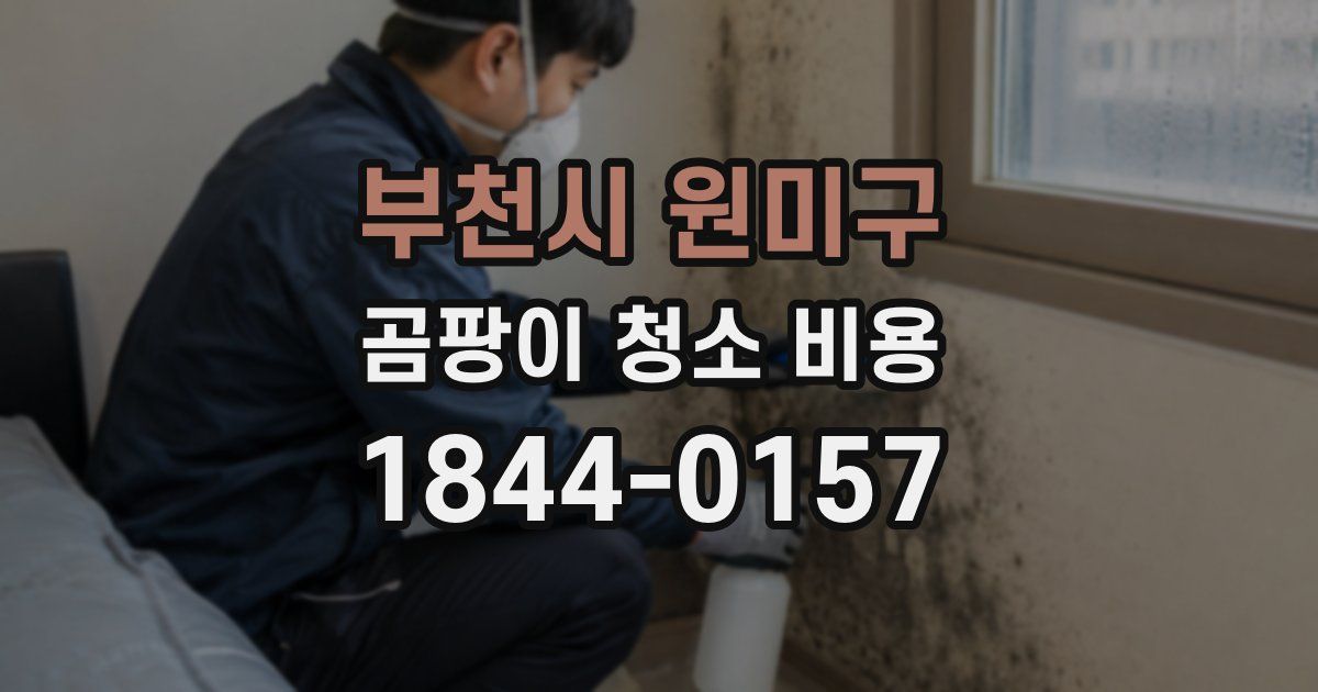 부천시 원미구 곰팡이 청소 비용