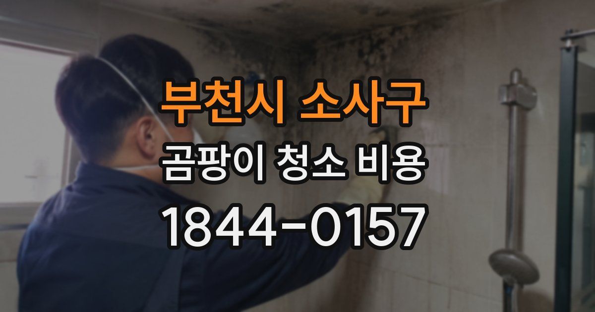 부천시 소사구 곰팡이 청소 비용