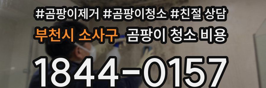 부천시 소사구 곰팡이 청소 비용