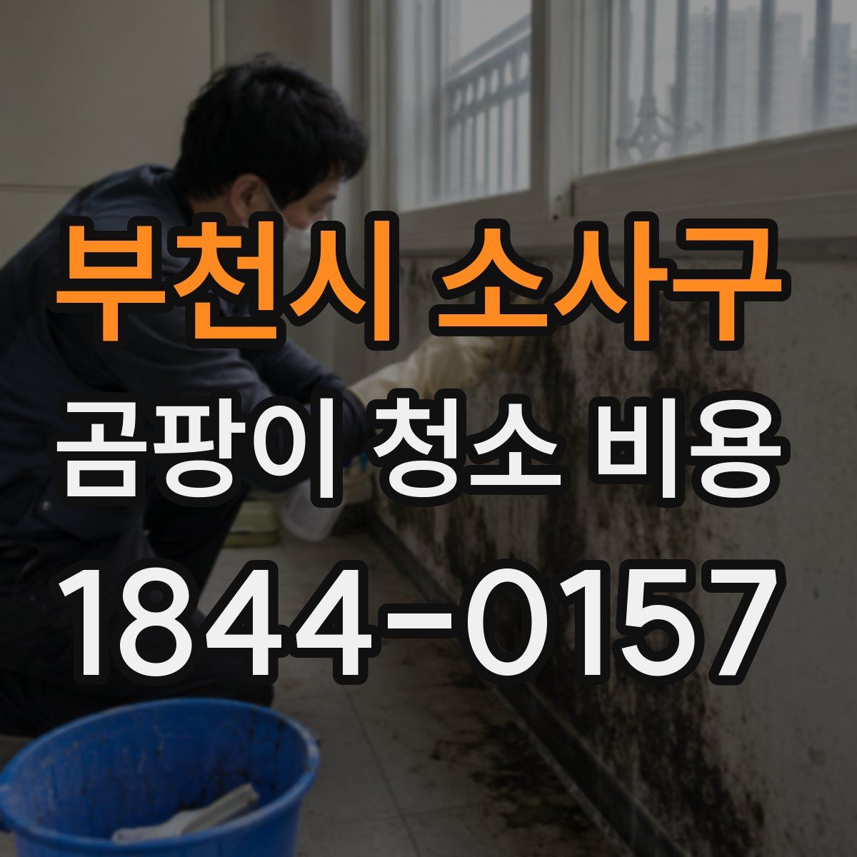 부천시 소사구 곰팡이 청소 비용