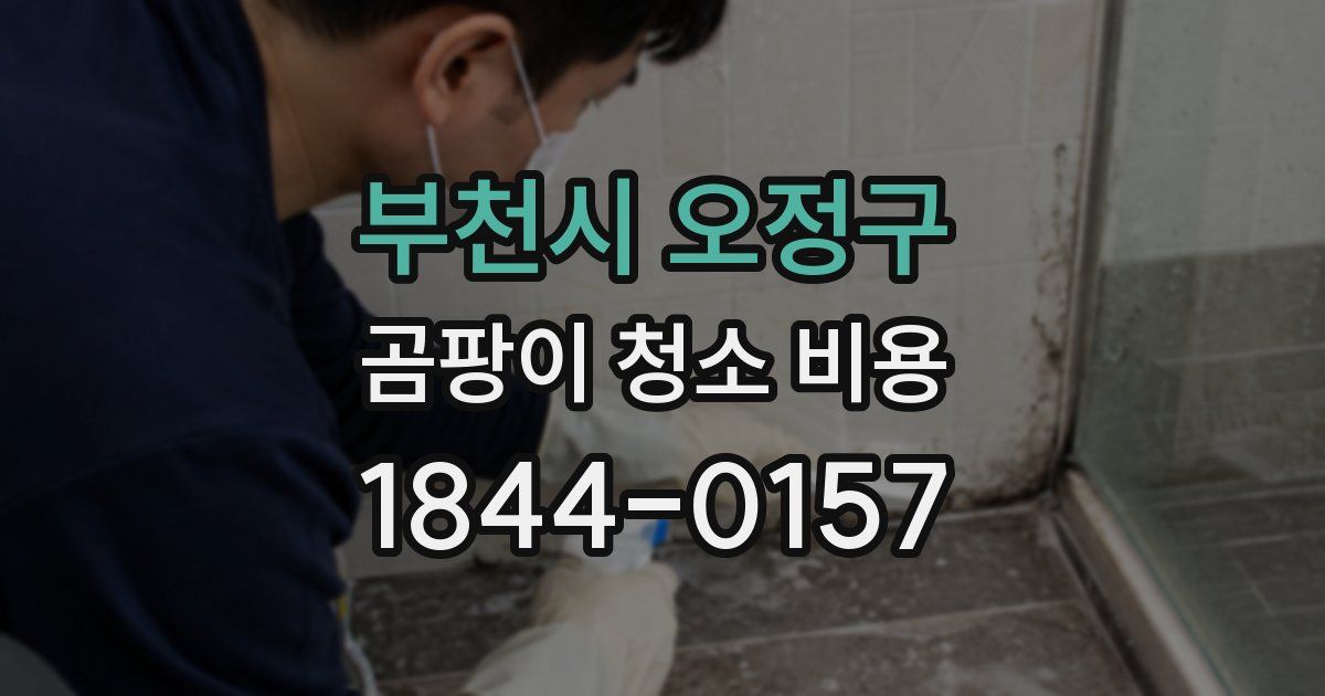 부천시 오정구 곰팡이 청소 비용