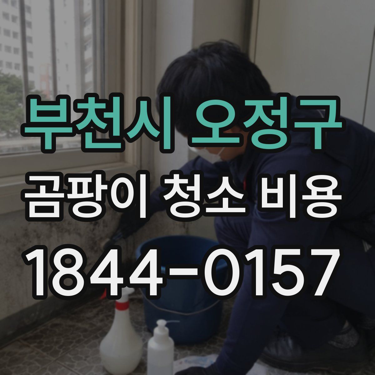 부천시 오정구 곰팡이 청소 비용