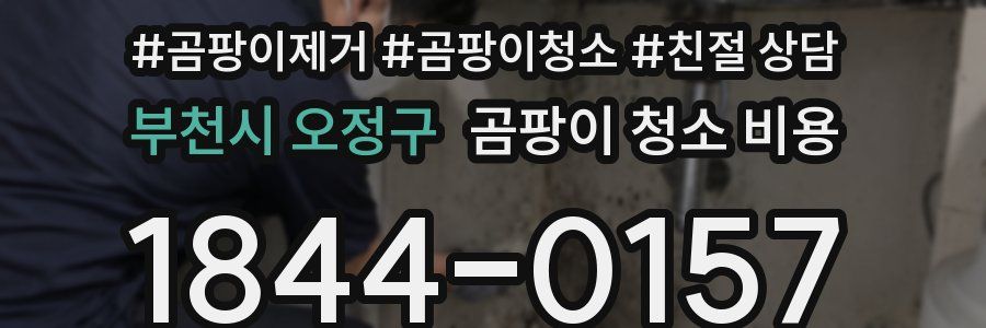 부천시 오정구 곰팡이 청소 비용
