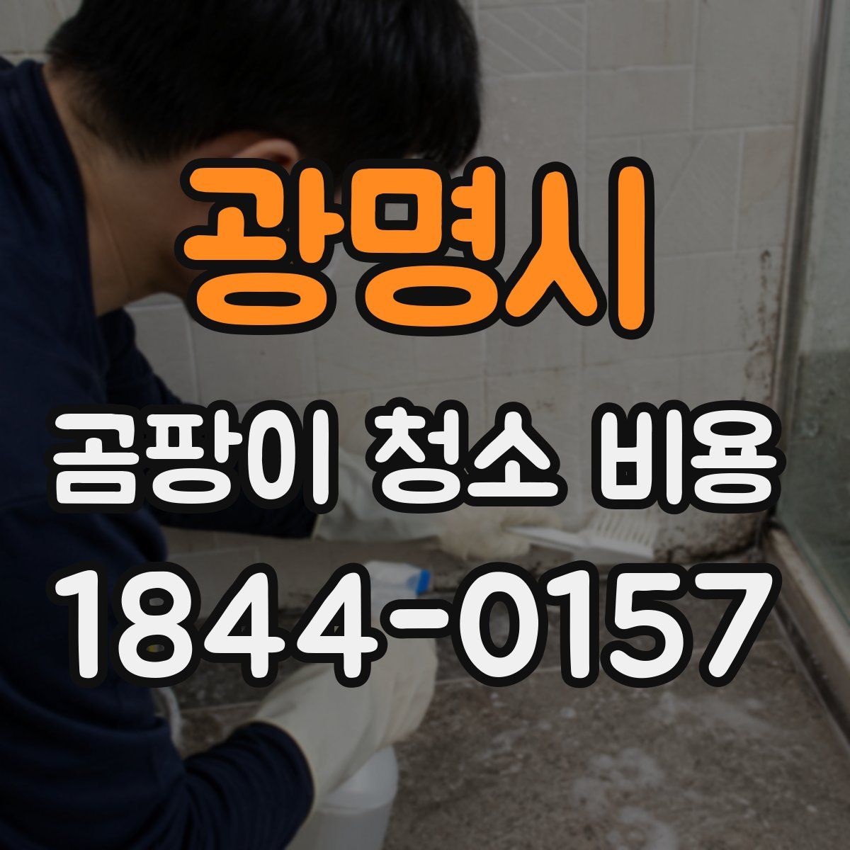 광명시 곰팡이 청소 비용