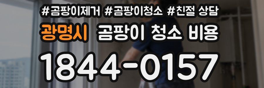 광명시 곰팡이 청소 비용