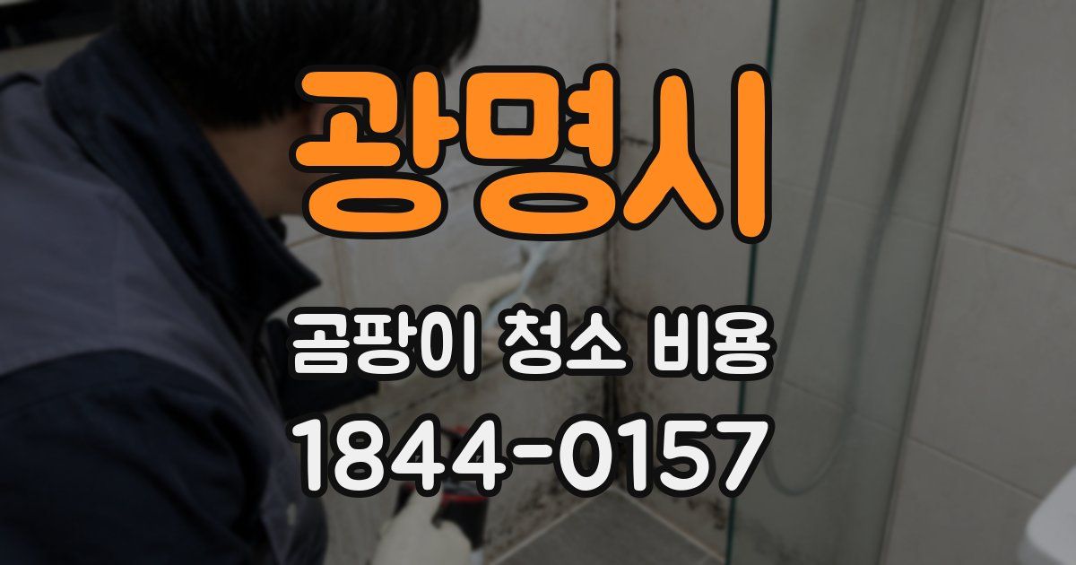 광명시 곰팡이 청소 비용