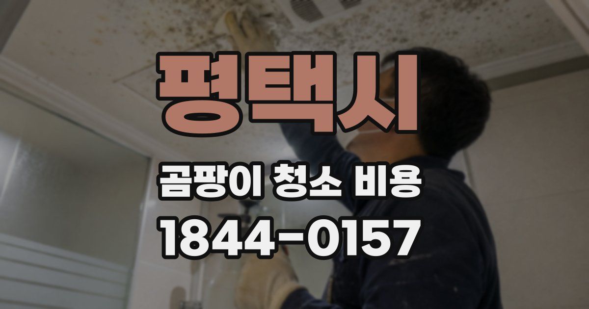 평택시 곰팡이 청소 비용