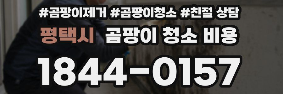평택시 곰팡이 청소 비용