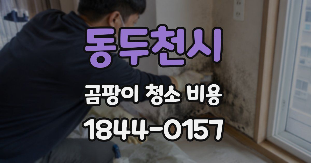 동두천시 곰팡이 청소 비용