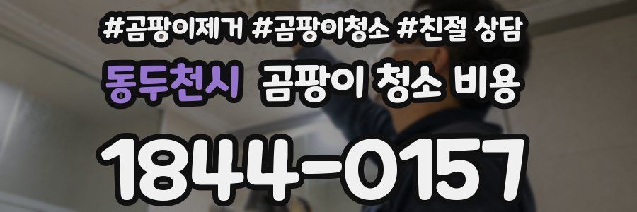 동두천시 곰팡이 청소 비용