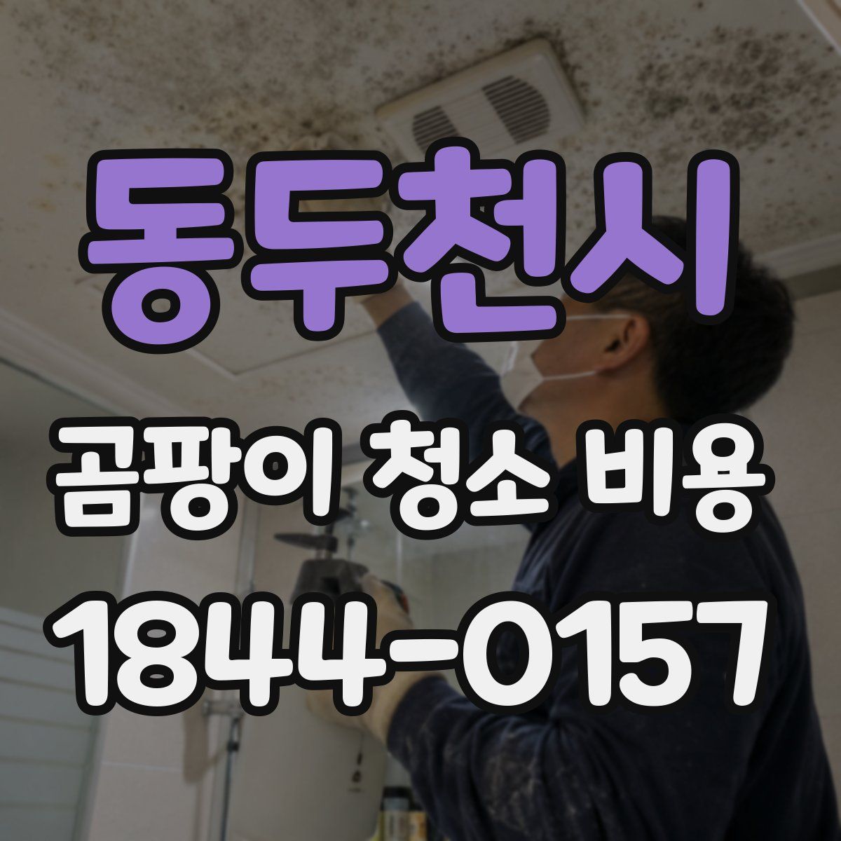 동두천시 곰팡이 청소 비용