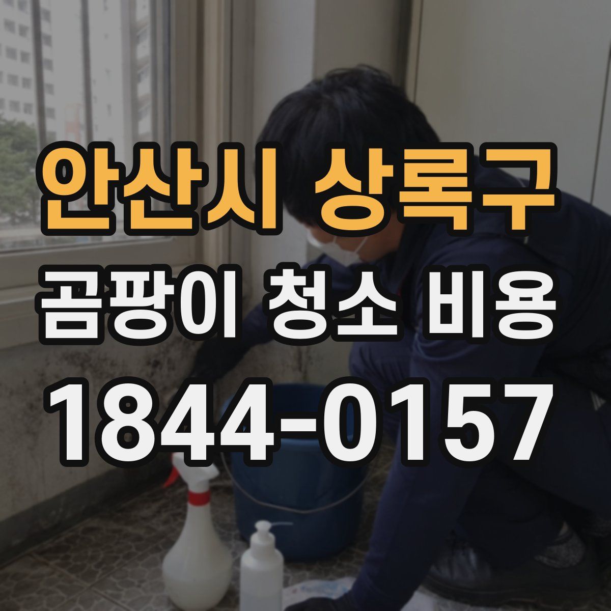 안산시 상록구 곰팡이 청소 비용
