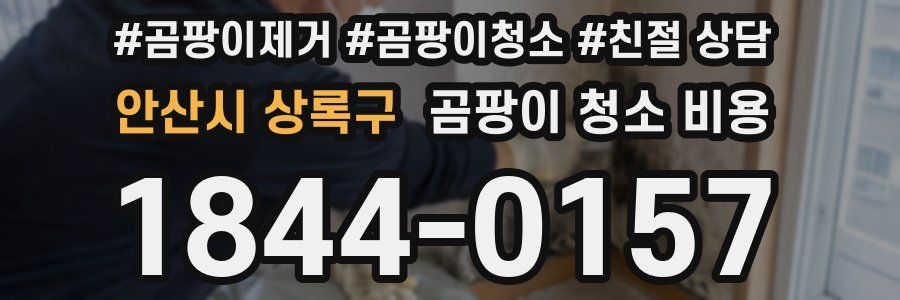 안산시 상록구 곰팡이 청소 비용