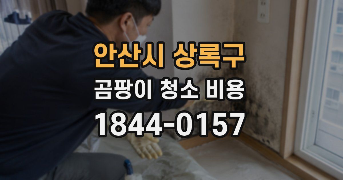 안산시 상록구 곰팡이 청소 비용