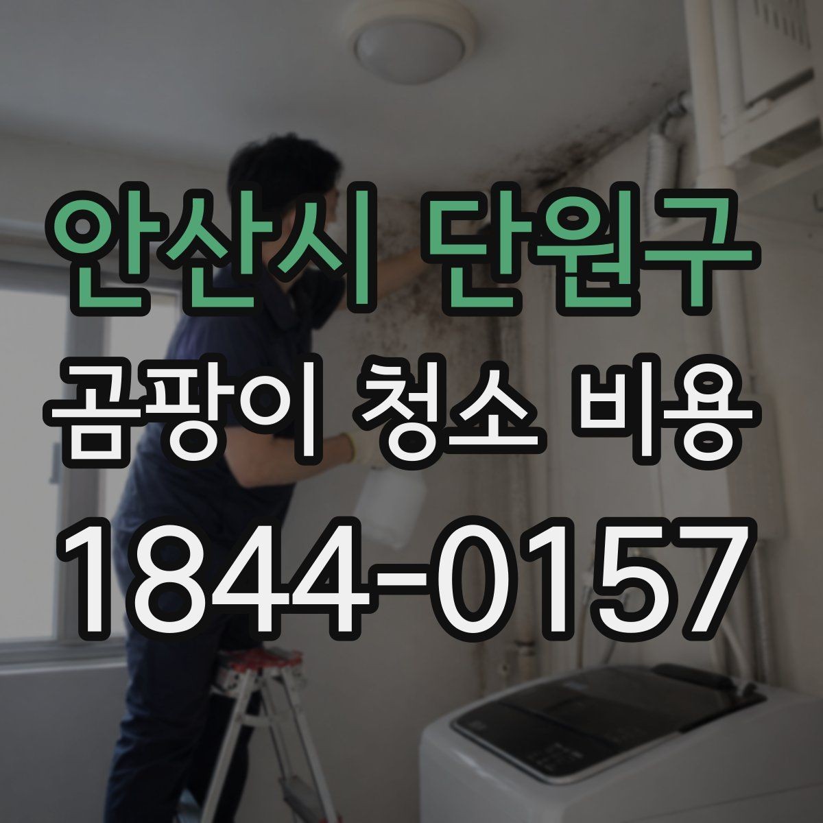 안산시 단원구 곰팡이 청소 비용 산정에 자주 쓰이는 기준들