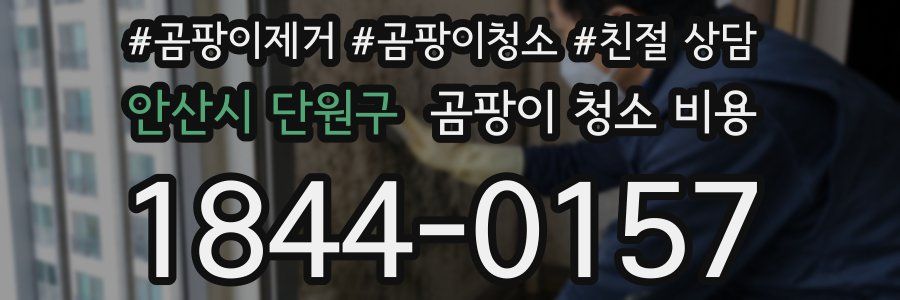 안산시 단원구 곰팡이 청소 비용