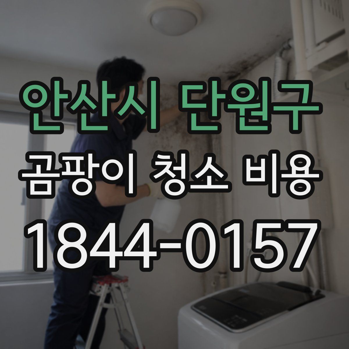 안산시 단원구 곰팡이 청소 비용