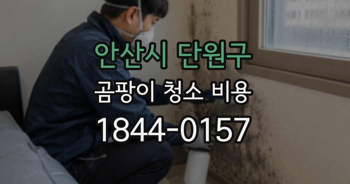안산시 단원구 곰팡이 청소 비용