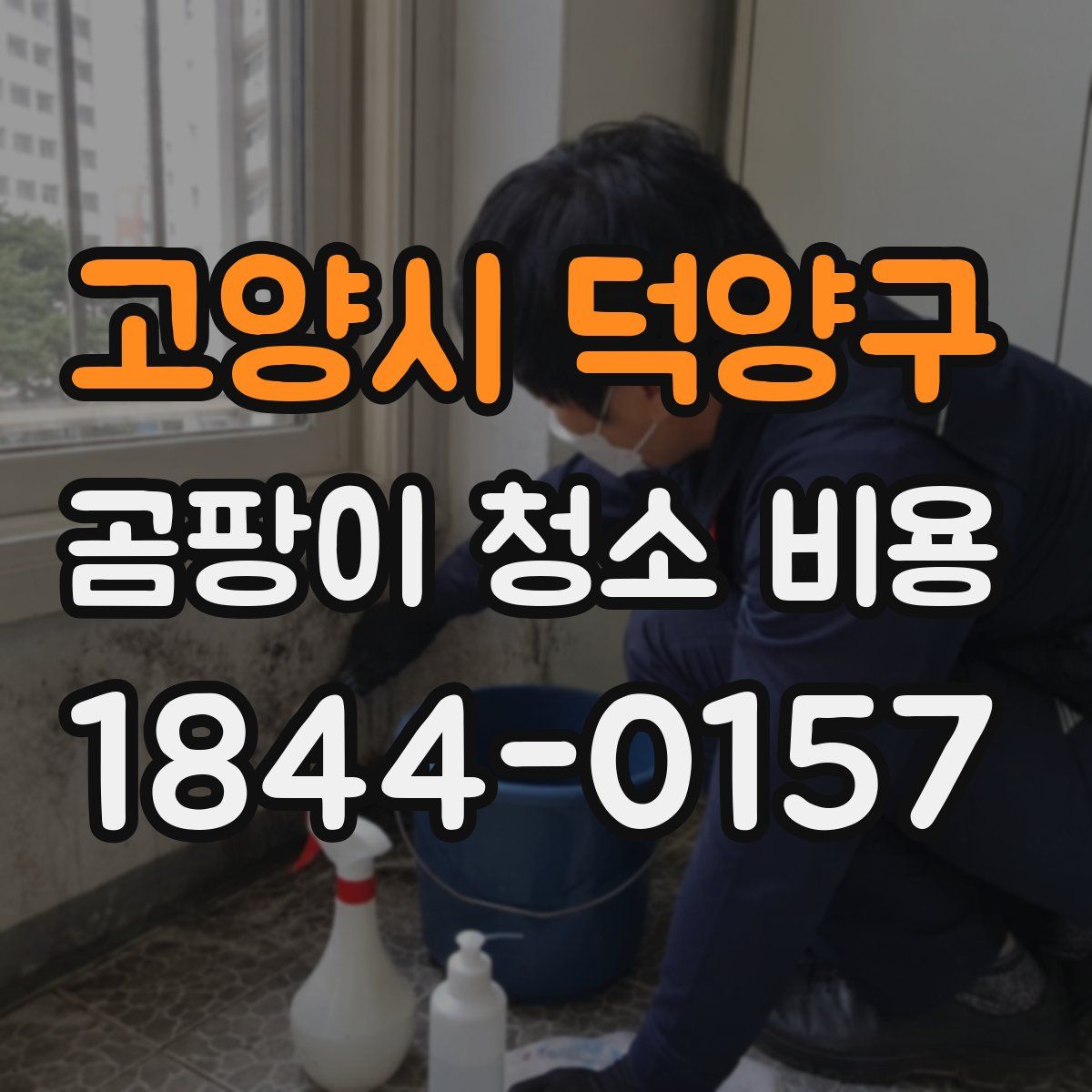 고양시 덕양구 곰팡이 청소 비용