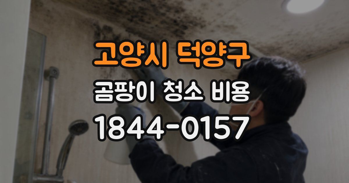 고양시 덕양구 곰팡이 청소 비용