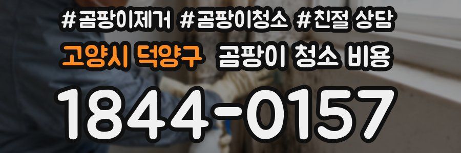 고양시 덕양구 곰팡이 청소 비용