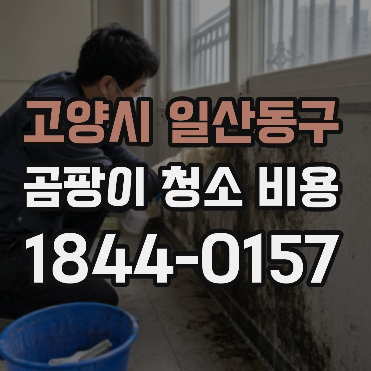 고양시 일산동구 곰팡이 청소 비용 산출에 영향을 주는 조건들