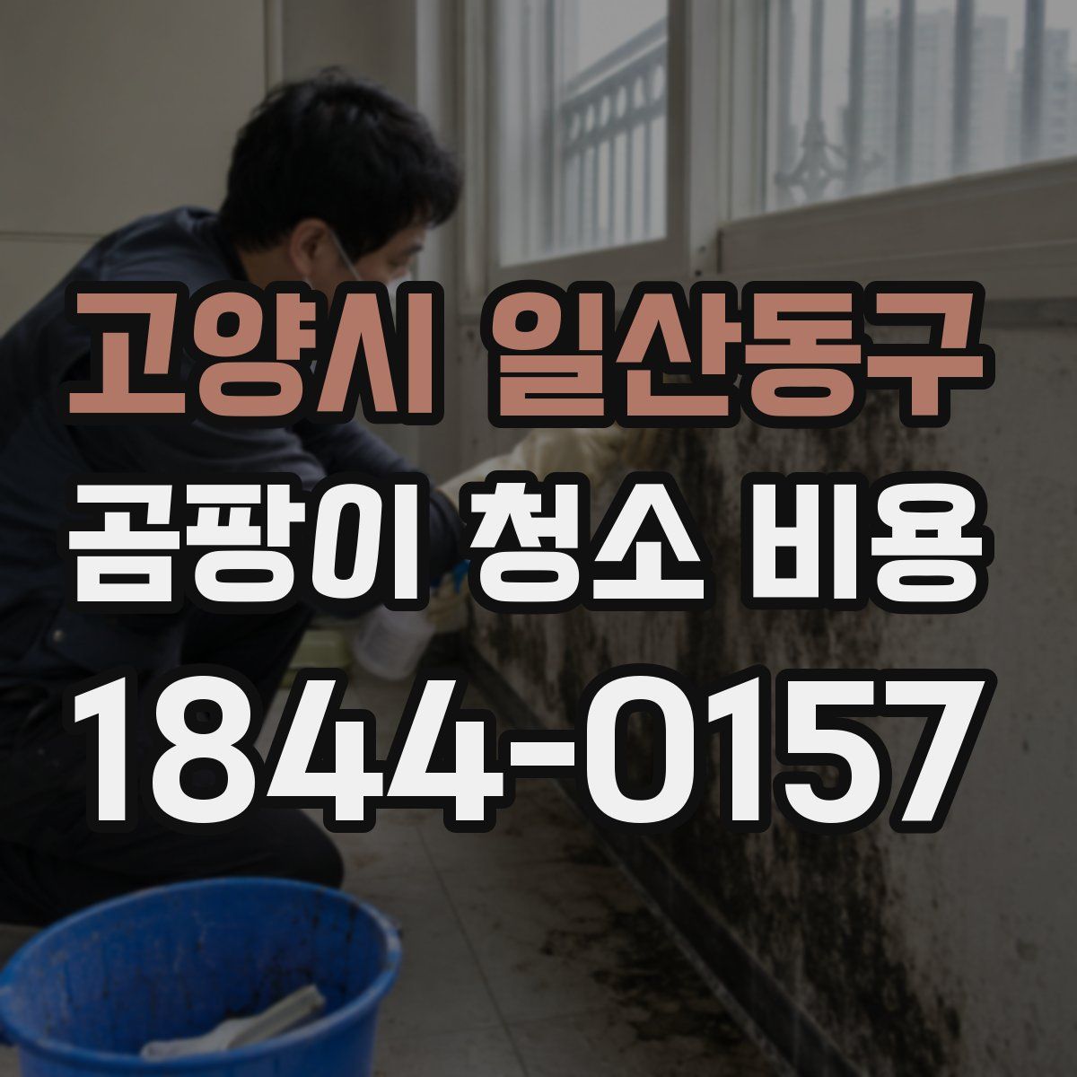 고양시 일산동구 곰팡이 청소 비용