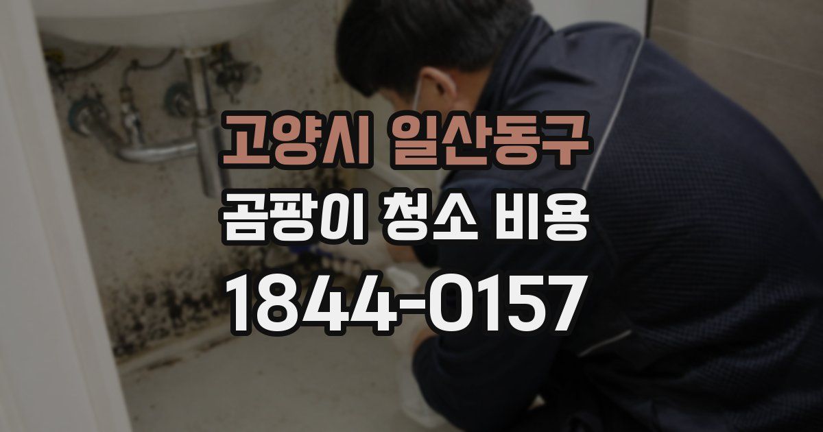 고양시 일산동구 곰팡이 청소 비용