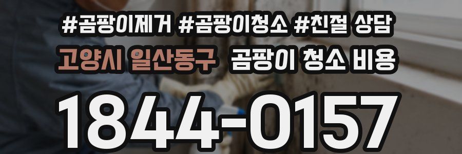 고양시 일산동구 곰팡이 청소 비용