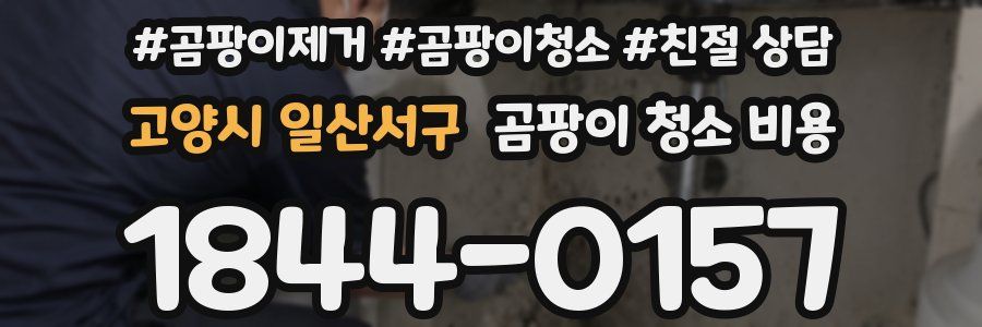 고양시 일산서구 곰팡이 청소 비용