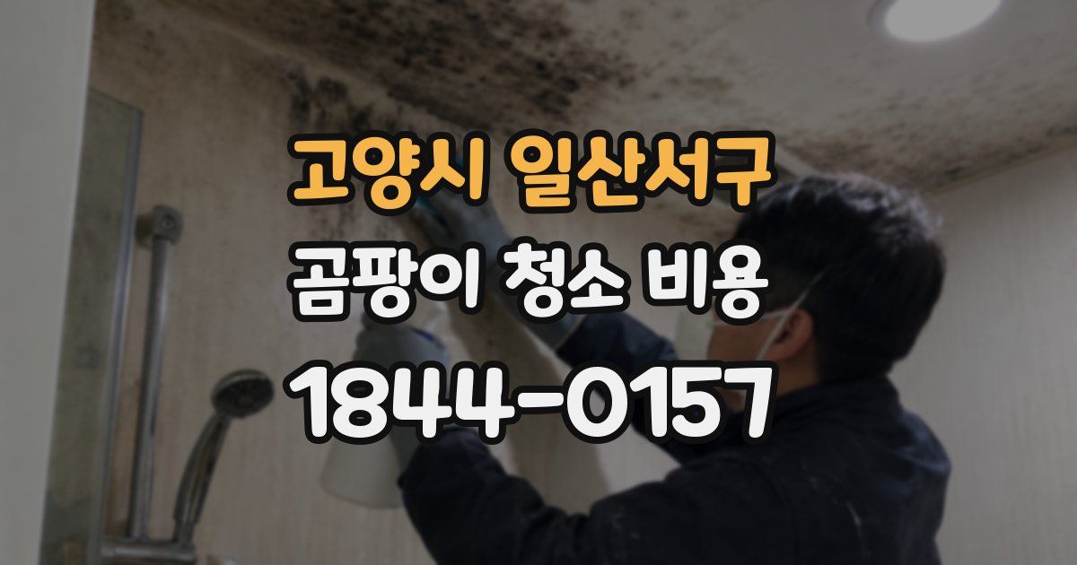 고양시 일산서구 곰팡이 청소 비용