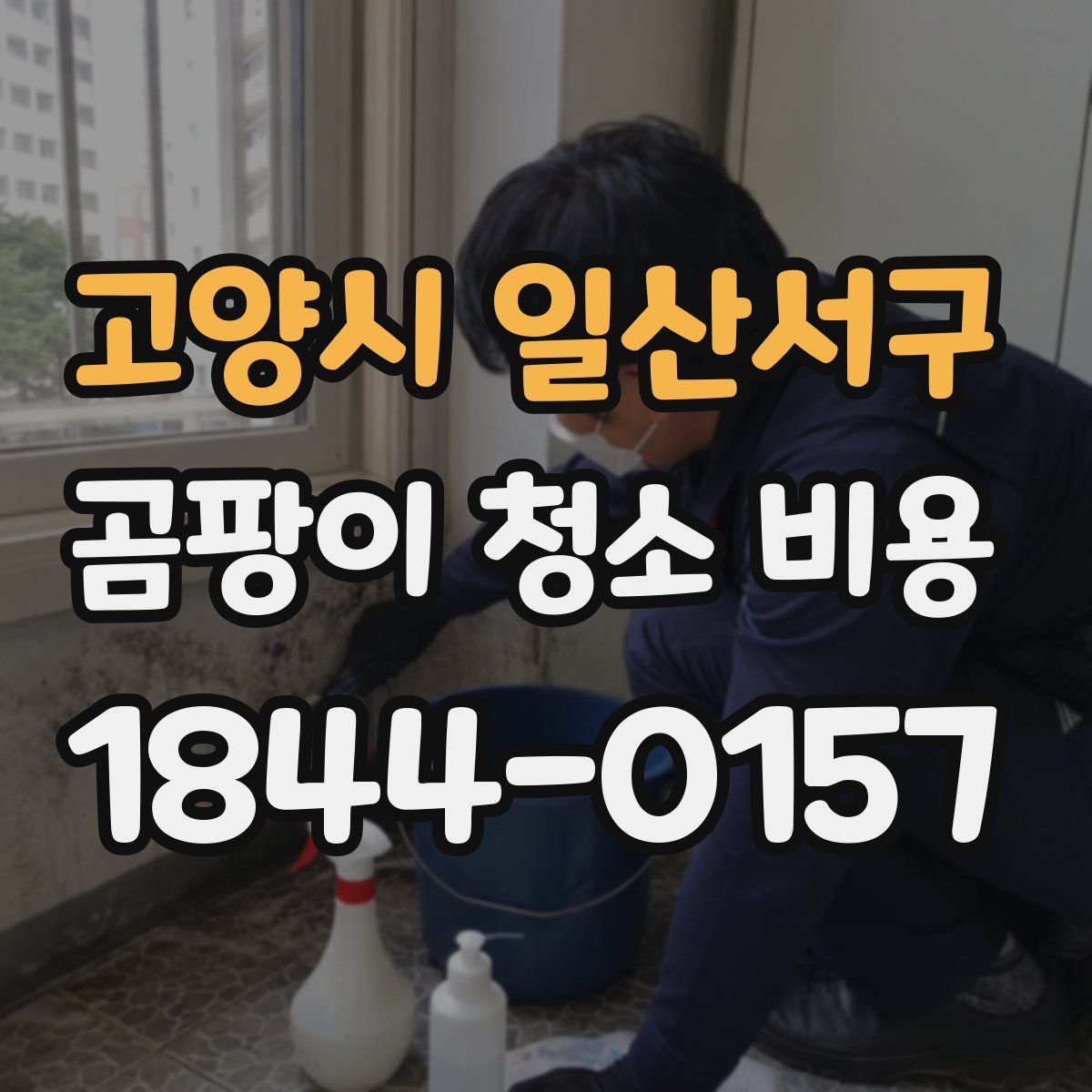 고양시 일산서구 곰팡이 청소 비용