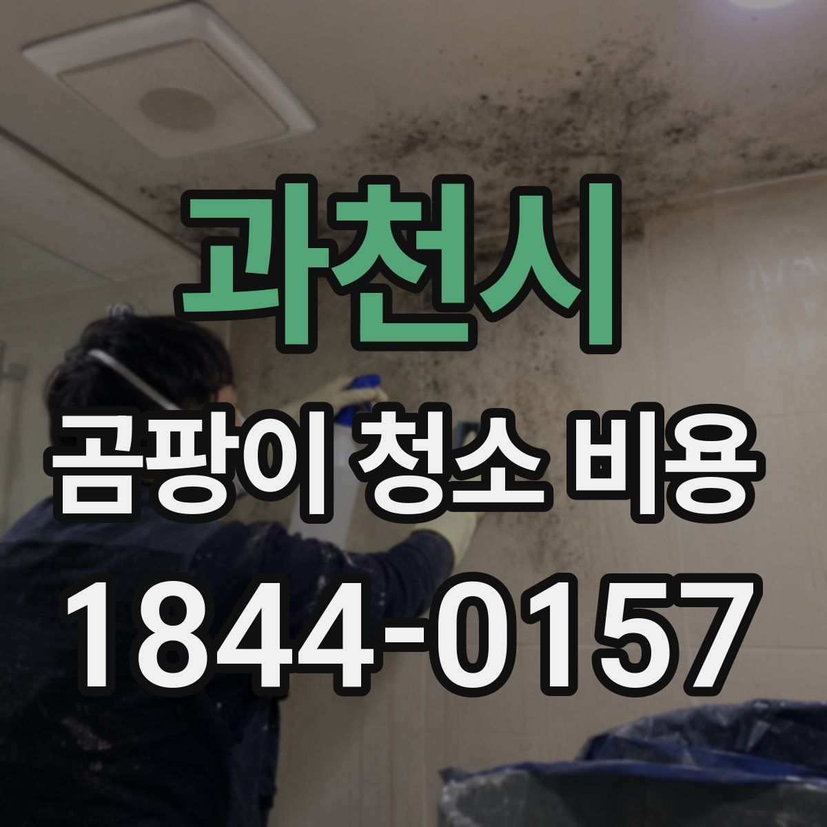 과천시 곰팡이 청소 비용
