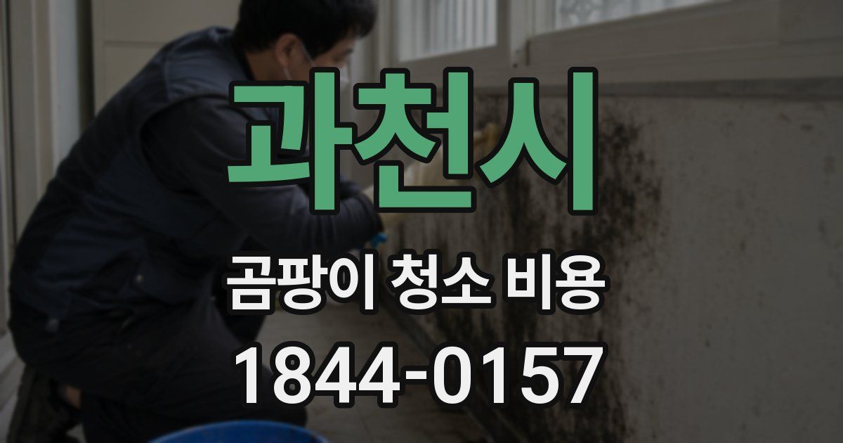과천시 곰팡이 청소 비용