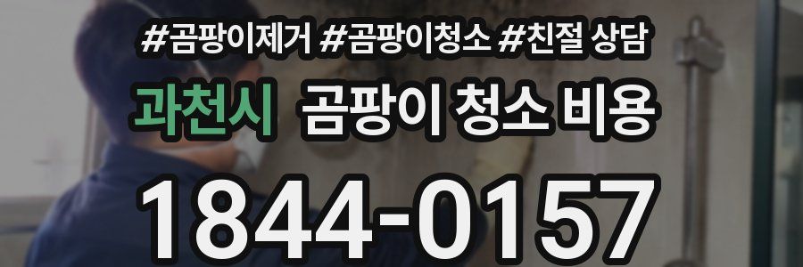 과천시 곰팡이 청소 비용