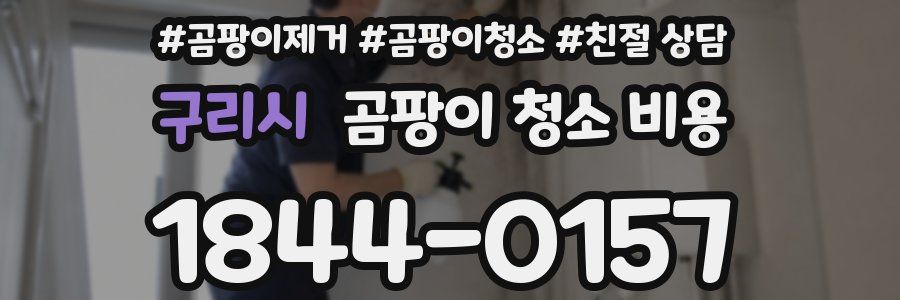 구리시 곰팡이 청소 비용