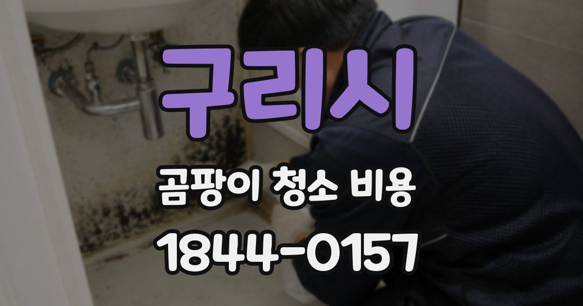 구리시 곰팡이 청소 비용
