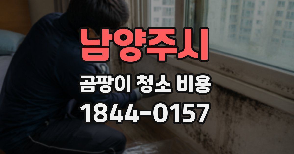 남양주시 곰팡이 청소 비용