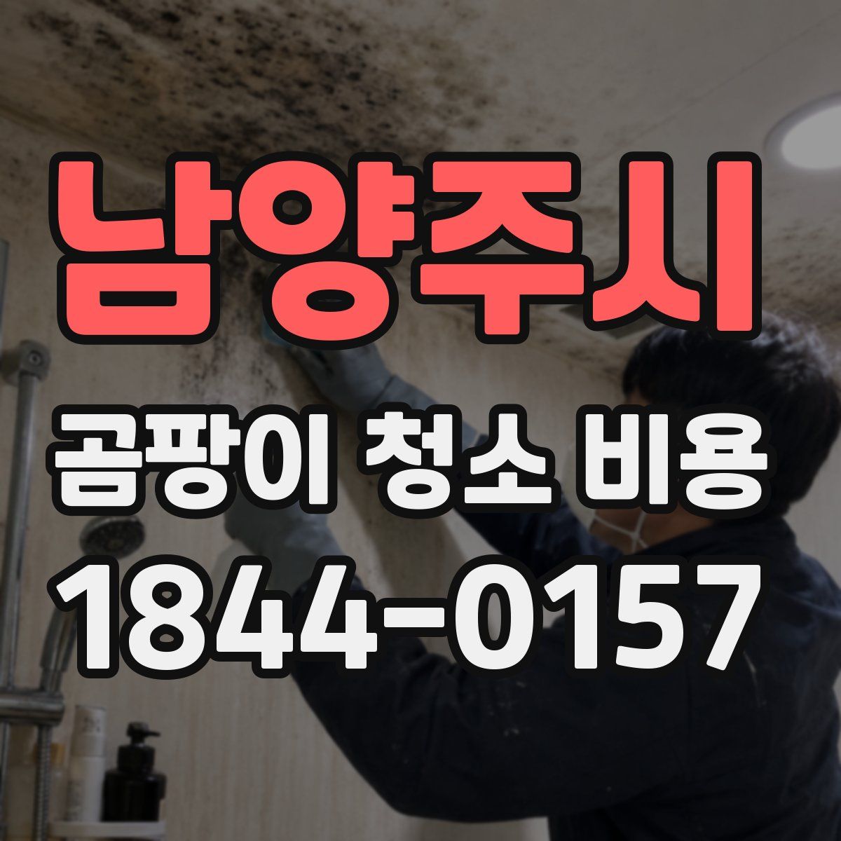 남양주시 곰팡이 청소 비용