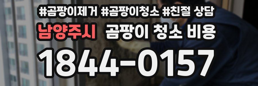남양주시 곰팡이 청소 비용