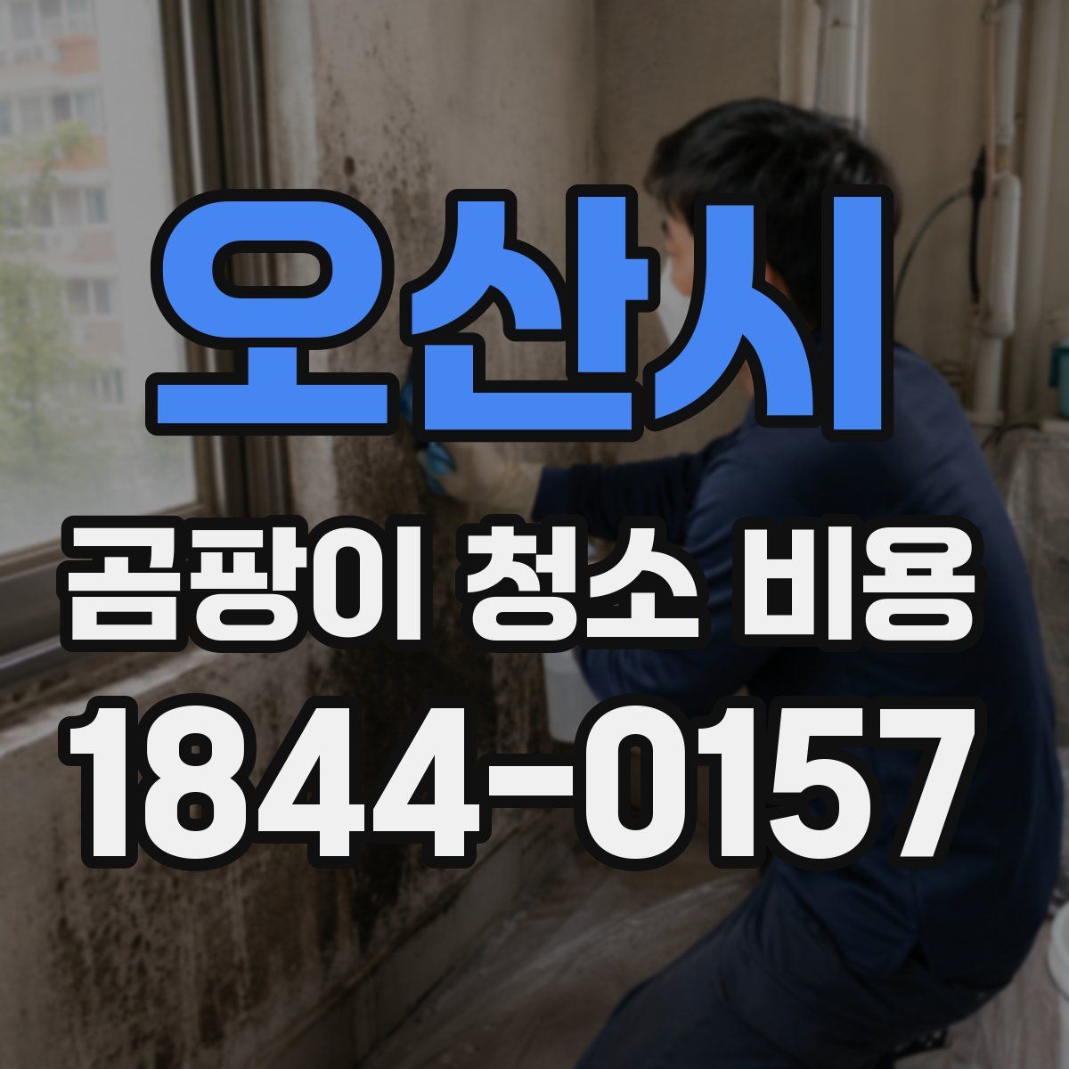 오산시 곰팡이 청소 비용
