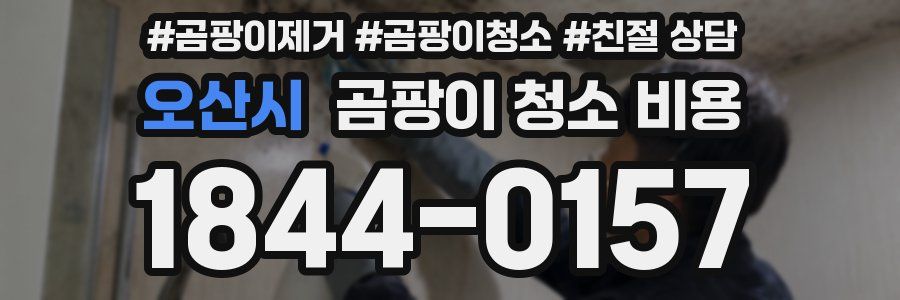 오산시 곰팡이 청소 비용