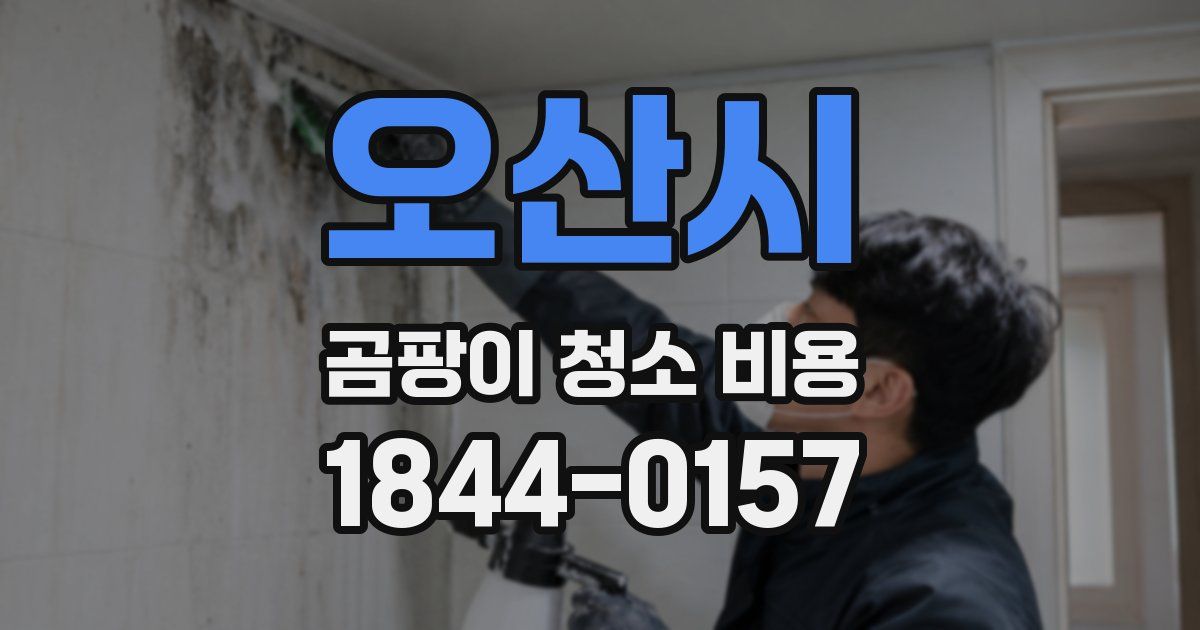 오산시 곰팡이 청소 비용