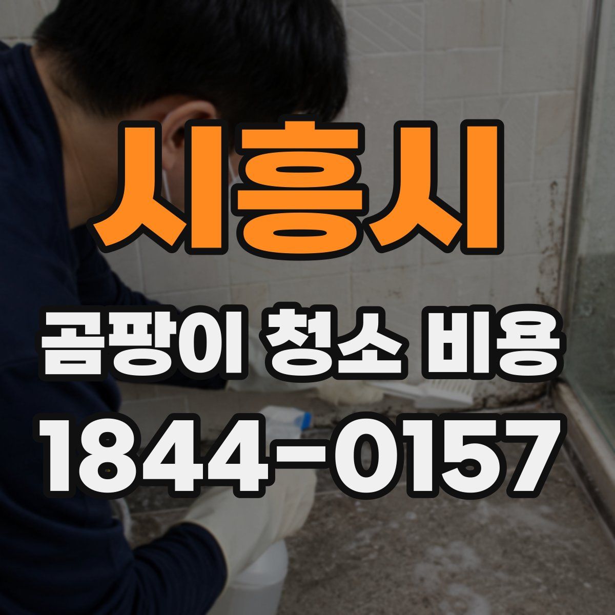시흥시 곰팡이 청소 비용