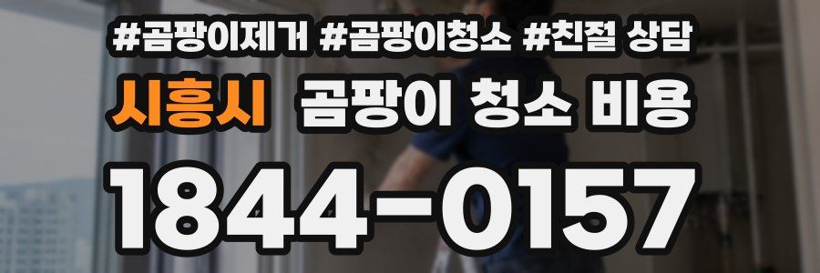 시흥시 곰팡이 청소 비용
