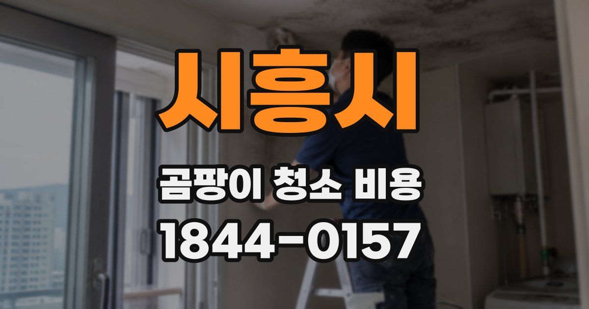 시흥시 곰팡이 청소 비용